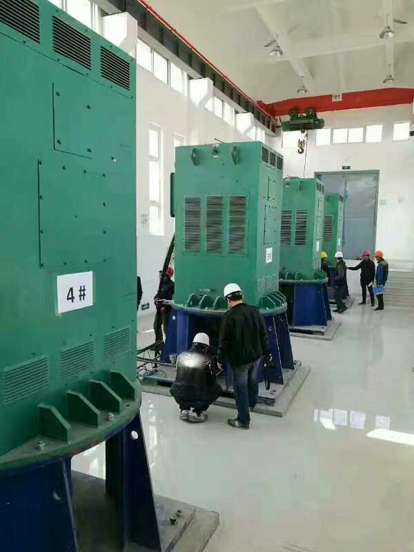 纳雍某污水处理厂使用我厂的立式高压电机安装现场