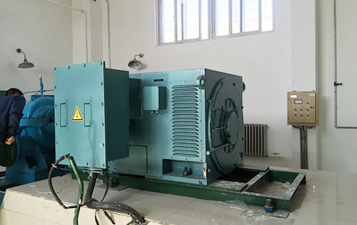纳雍某水电站工程主水泵使用我公司高压电机