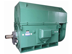 纳雍Y系列6KV高压电机